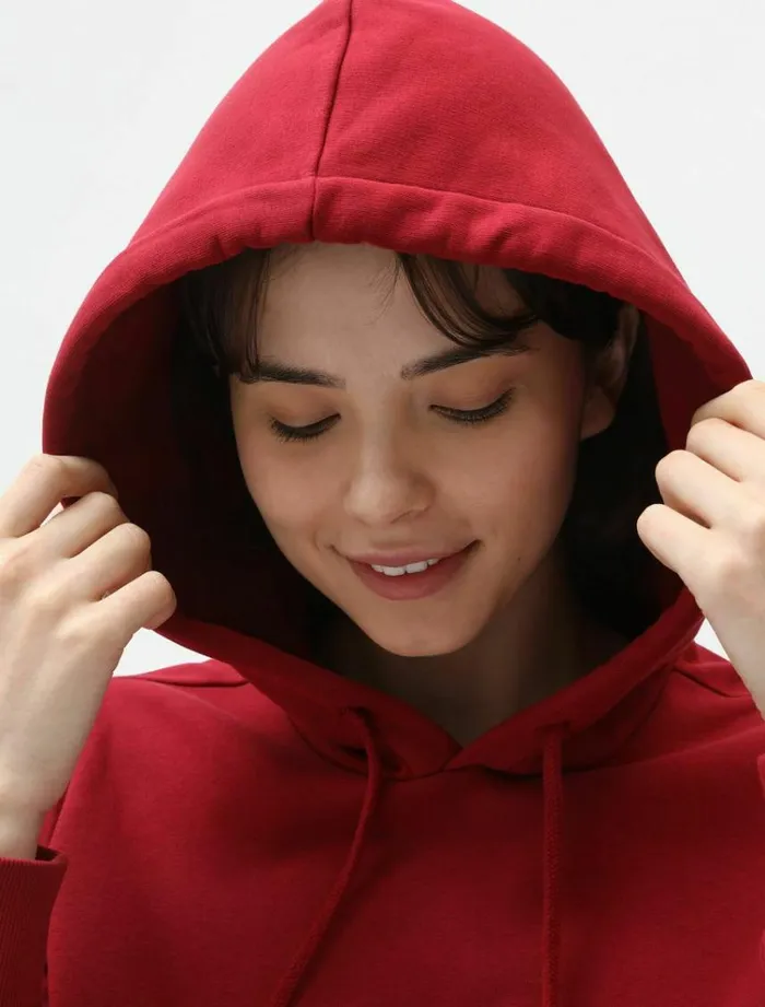 Women Jumpers and Sweatshirts Dickies Icon Logo Hoodie Bikg Red