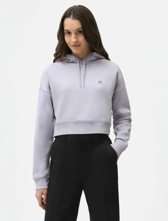 Women Jumpers and Sweatshirts Dickies Oakport Cropped Hoodie Lilac Gray