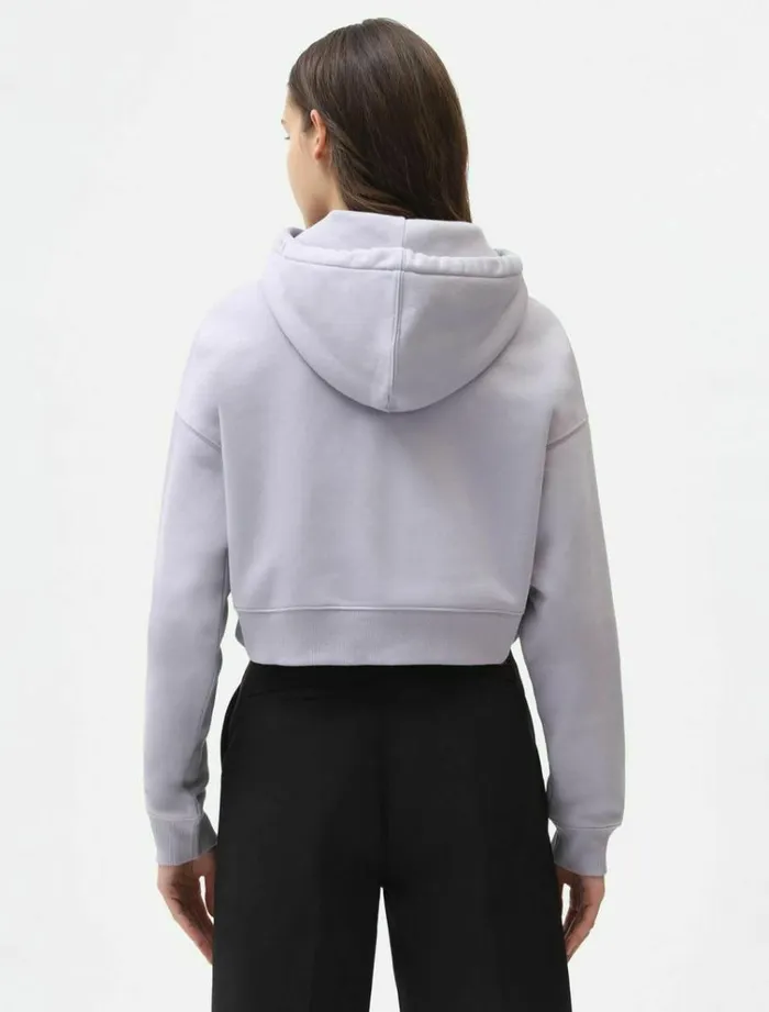 Women Jumpers and Sweatshirts Dickies Oakport Cropped Hoodie Lilac Gray