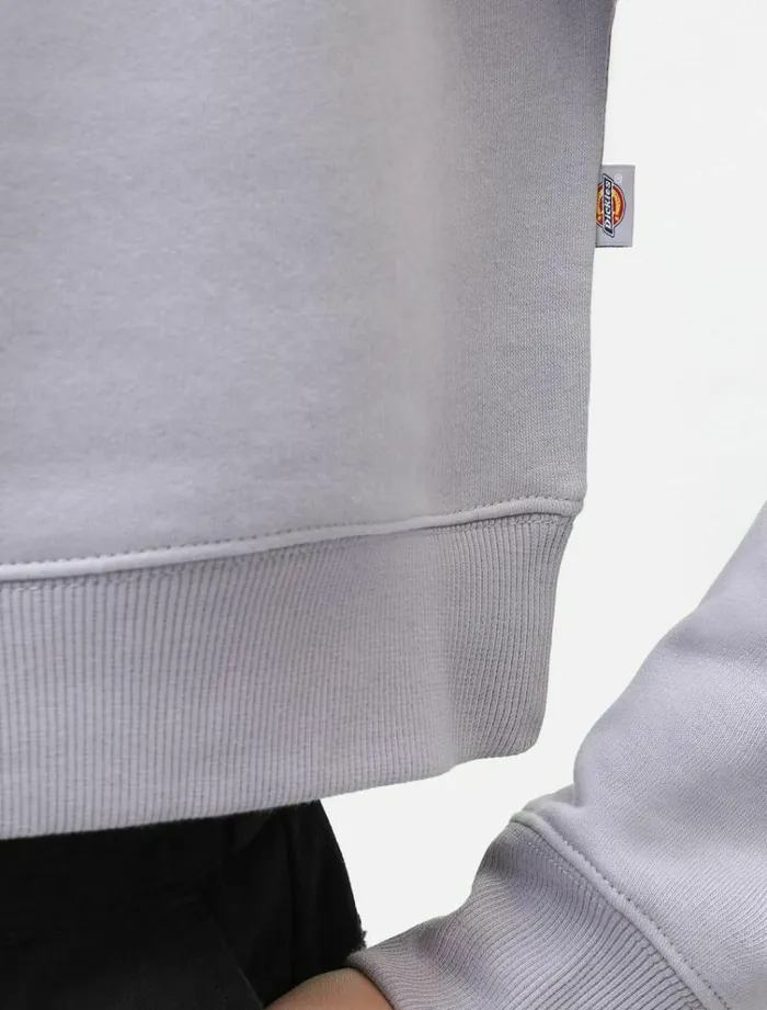 Women Jumpers and Sweatshirts Dickies Oakport Cropped Hoodie Lilac Gray