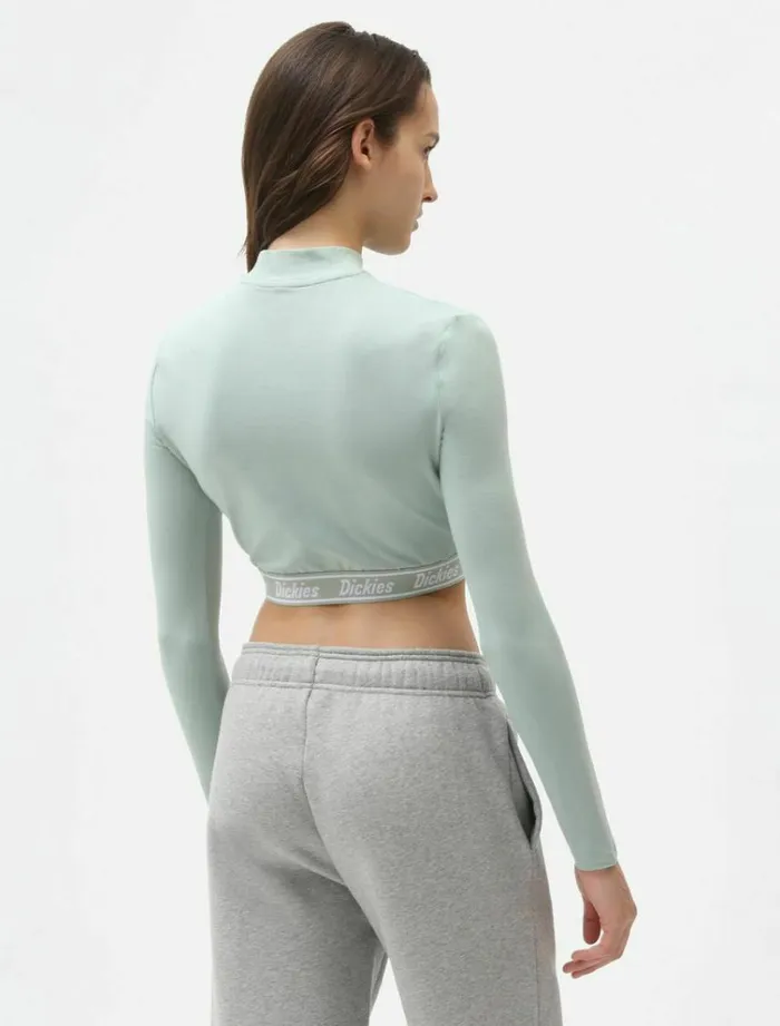 Women TShirts and Tops Dickies Petersburg Crop TShirt Jadeite