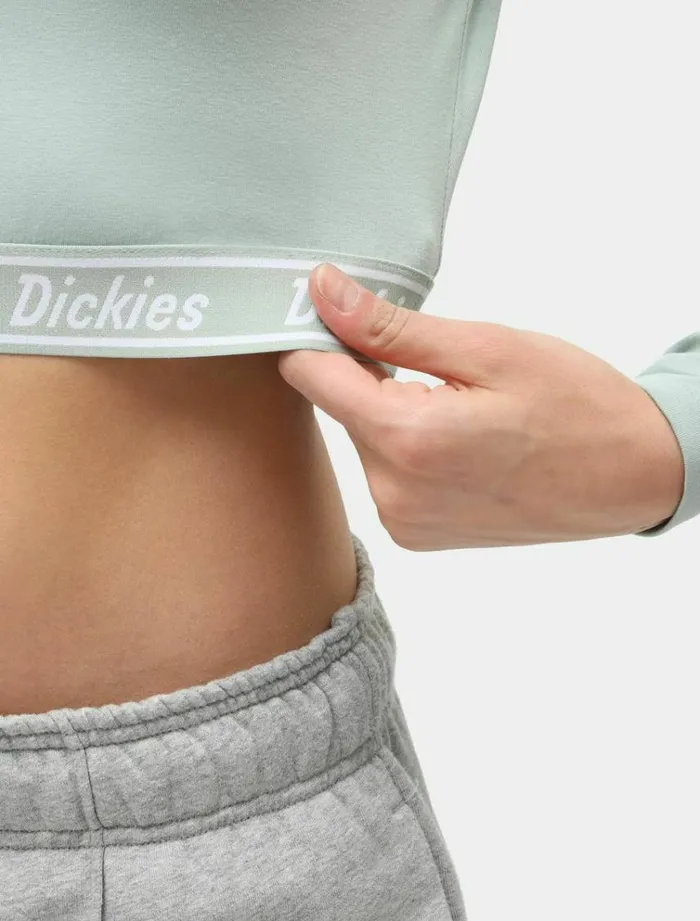 Women TShirts and Tops Dickies Petersburg Crop TShirt Jadeite