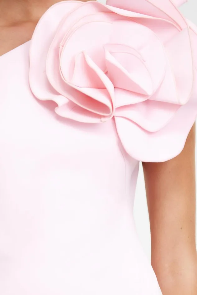 Women WYNYARD MAXI DRESS Blush Acler Maxi Dresses